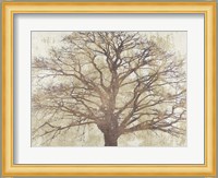 Sacred Oak Fine Art Print