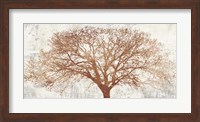 Tree of Bronze Fine Art Print