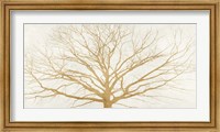 Tree of Gold Fine Art Print