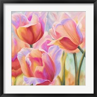 Tulips in Wonderland II Framed Print