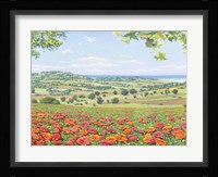 Campo di Papaveri Fine Art Print