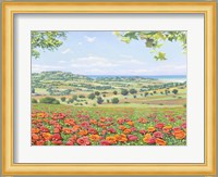 Campo di Papaveri Fine Art Print