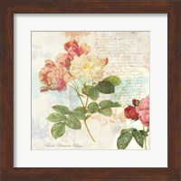 Redoute's Roses 2.0 I Fine Art Print