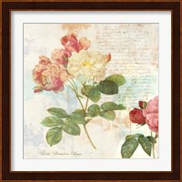 Redoute's Roses 2.0 I Fine Art Print