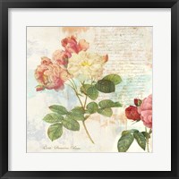 Redoute's Roses 2.0 I Framed Print