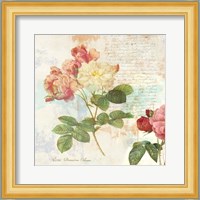 Redoute's Roses 2.0 I Fine Art Print