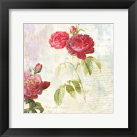 Redoute's Roses 2.0 II Fine Art Print