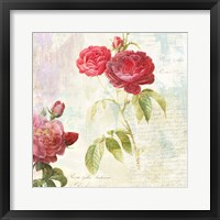 Redoute's Roses 2.0 II Framed Print