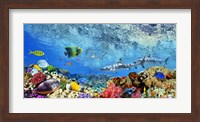 Reef Sharks and fish, Indian Sea Fine Art Print