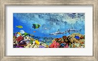 Reef Sharks and fish, Indian Sea Fine Art Print