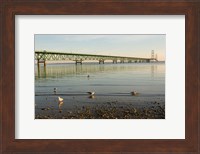 Mackinac Bridge, Mackinaw City, Michigan Fine Art Print