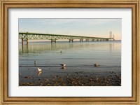 Mackinac Bridge, Mackinaw City, Michigan Fine Art Print