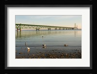 Mackinac Bridge, Mackinaw City, Michigan Fine Art Print