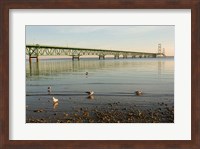 Mackinac Bridge, Mackinaw City, Michigan Fine Art Print