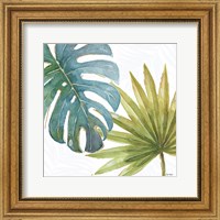 Tropical Blush VIII Fine Art Print