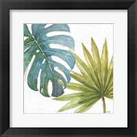 Tropical Blush VIII Framed Print