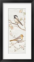 Vintage Birds Panel II Framed Print
