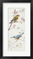 Vintage Birds Panel I Framed Print