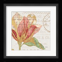 Bookshelf Botanical III Framed Print
