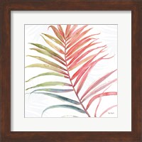 Tropical Blush VI Fine Art Print