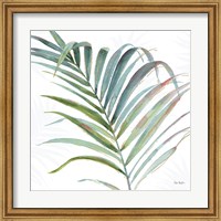 Tropical Blush V Fine Art Print