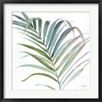Tropical Blush V Framed Print