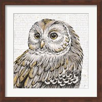 Beautiful Owls I Fine Art Print