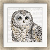 Beautiful Owls II Fine Art Print