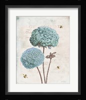 Geranium Study II Fine Art Print