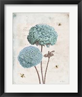 Geranium Study II Fine Art Print