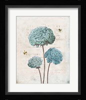 Geranium Study I Fine Art Print