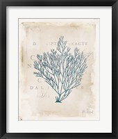 Sea Garden II Framed Print