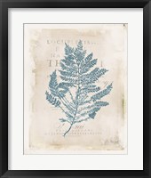 Sea Garden III Framed Print