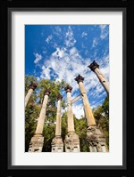 Mississippi, Windsor Ruins, plantation house Fine Art Print