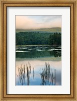 Fog obscures the summit of Mt Monadnock, New Hampshire Fine Art Print