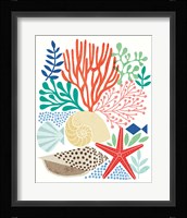 Under Sea Treasures VI Fine Art Print