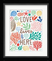 Under Sea Treasures II Framed Print