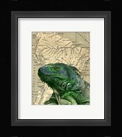Brazilian Iguana Fine Art Print