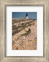 Nantucket Shell in front of Brant Point lighthouse Fine Art Print