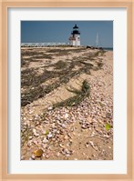 Nantucket Shell in front of Brant Point lighthouse Fine Art Print