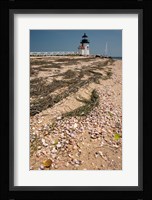 Nantucket Shell in front of Brant Point lighthouse Fine Art Print