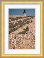 Nantucket Shell in front of Brant Point lighthouse Fine Art Print