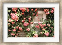 Roses and home, Nantucket Island Fine Art Print
