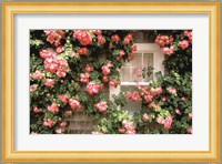 Roses and home, Nantucket Island Fine Art Print