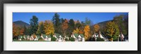 Cottages on a hill, Franconia Notch State Park, White Mountain National Forest, New Hampshire Fine Art Print