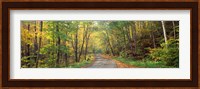 Road passing through autumn forest, Golf Link Road, Colebrook, New Hampshire Fine Art Print