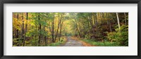 Road passing through autumn forest, Golf Link Road, Colebrook, New Hampshire Fine Art Print