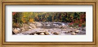 New Hampshire, White Mountains National Forest, River flowing through the wilderness Fine Art Print