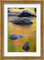 Swift River, White Mountain Forest, New Hampshire Fine Art Print