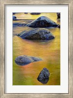 Swift River, White Mountain Forest, New Hampshire Fine Art Print